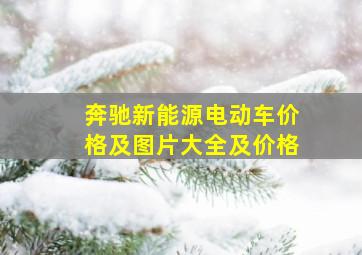 奔驰新能源电动车价格及图片大全及价格