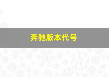 奔驰版本代号