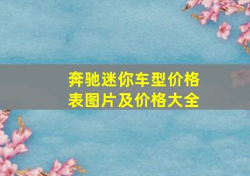 奔驰迷你车型价格表图片及价格大全