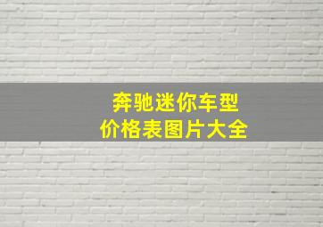 奔驰迷你车型价格表图片大全