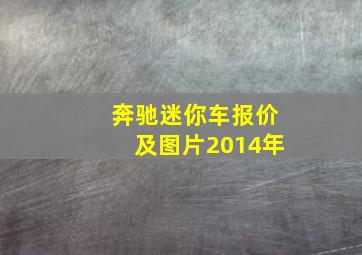 奔驰迷你车报价及图片2014年