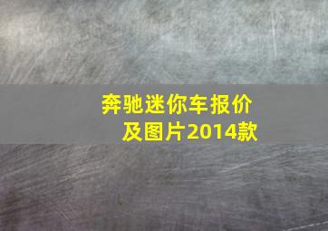 奔驰迷你车报价及图片2014款