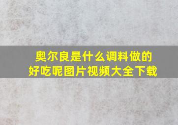 奥尔良是什么调料做的好吃呢图片视频大全下载