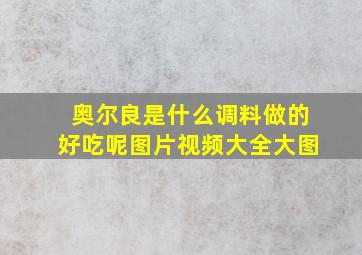 奥尔良是什么调料做的好吃呢图片视频大全大图