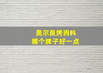 奥尔良烤肉料哪个牌子好一点