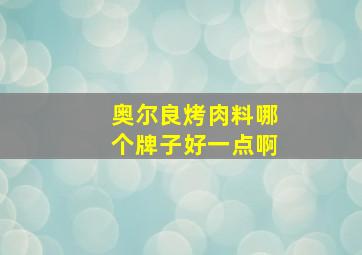 奥尔良烤肉料哪个牌子好一点啊