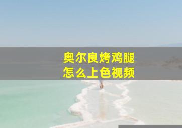 奥尔良烤鸡腿怎么上色视频