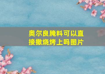 奥尔良腌料可以直接撒烧烤上吗图片