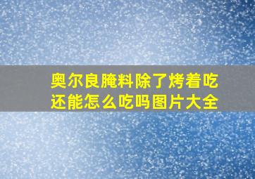 奥尔良腌料除了烤着吃还能怎么吃吗图片大全