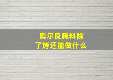 奥尔良腌料除了烤还能做什么