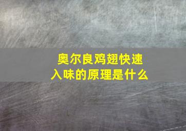 奥尔良鸡翅快速入味的原理是什么