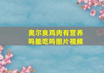 奥尔良鸡肉有营养吗能吃吗图片视频