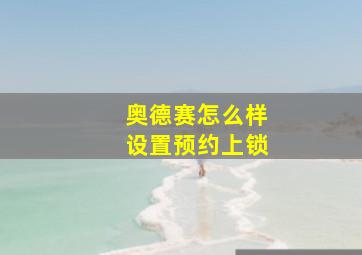 奥德赛怎么样设置预约上锁