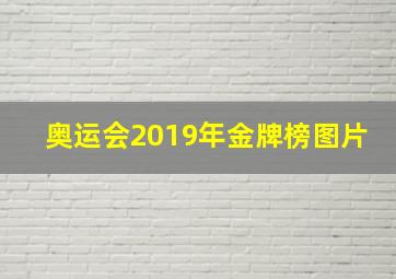 奥运会2019年金牌榜图片