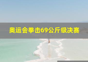 奥运会拳击69公斤级决赛