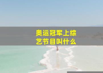 奥运冠军上综艺节目叫什么