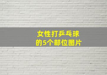 女性打乒乓球的5个部位图片