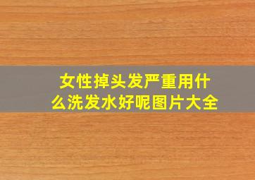 女性掉头发严重用什么洗发水好呢图片大全