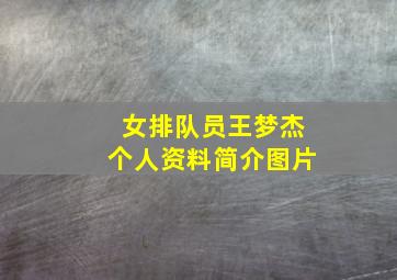 女排队员王梦杰个人资料简介图片