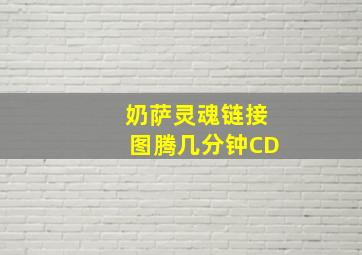 奶萨灵魂链接图腾几分钟CD