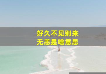 好久不见别来无恙是啥意思