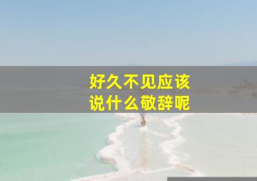 好久不见应该说什么敬辞呢