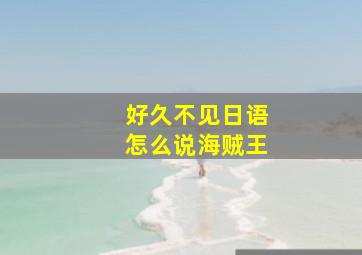 好久不见日语怎么说海贼王