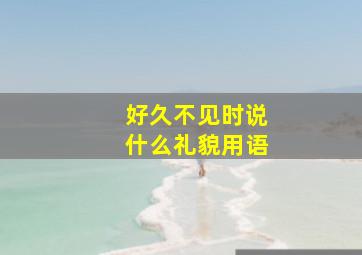 好久不见时说什么礼貌用语