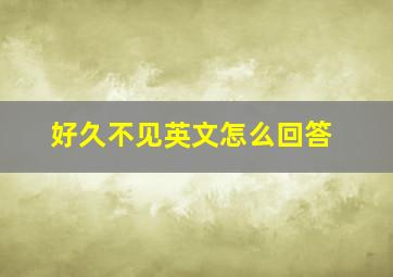 好久不见英文怎么回答