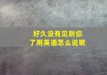 好久没有见到你了用英语怎么说呢