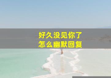 好久没见你了怎么幽默回复