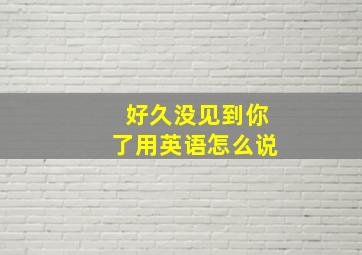 好久没见到你了用英语怎么说