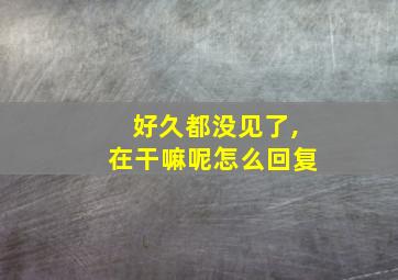 好久都没见了,在干嘛呢怎么回复