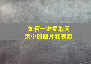 如何一键提取网页中的图片和视频