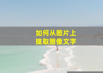 如何从图片上提取图像文字