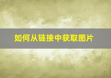 如何从链接中获取图片