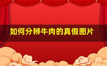 如何分辨牛肉的真假图片