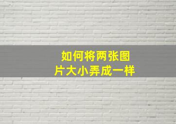 如何将两张图片大小弄成一样