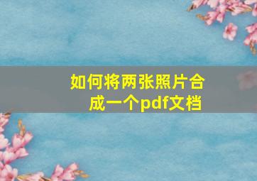 如何将两张照片合成一个pdf文档