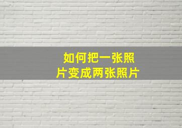 如何把一张照片变成两张照片