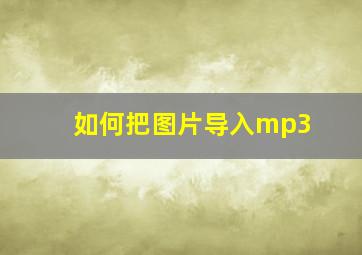 如何把图片导入mp3