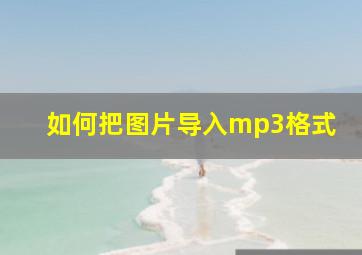 如何把图片导入mp3格式