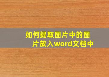 如何提取图片中的图片放入word文档中