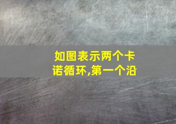 如图表示两个卡诺循环,第一个沿