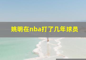 姚明在nba打了几年球员