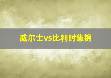 威尔士vs比利时集锦