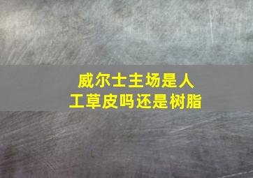 威尔士主场是人工草皮吗还是树脂