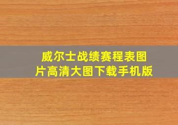 威尔士战绩赛程表图片高清大图下载手机版