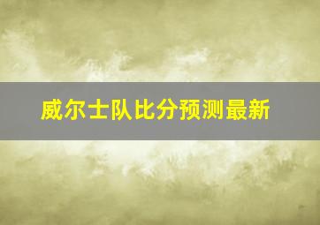 威尔士队比分预测最新