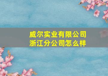 威尔实业有限公司浙江分公司怎么样